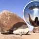 Giant Rock, una inmensa roca de granito en medio del desierto de Mojave que oculta antiguas historias indígenas y misticismo cósmico
