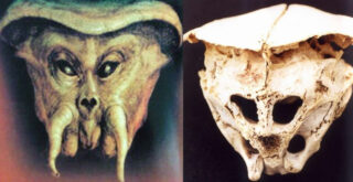Cráneo de Ródope: ¿Evidencia de alienígenas en la Tierra?